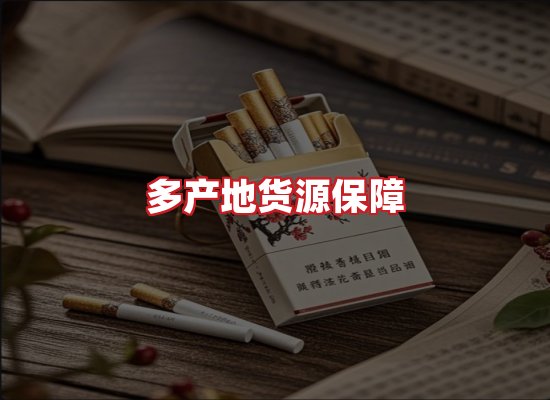 专业团队